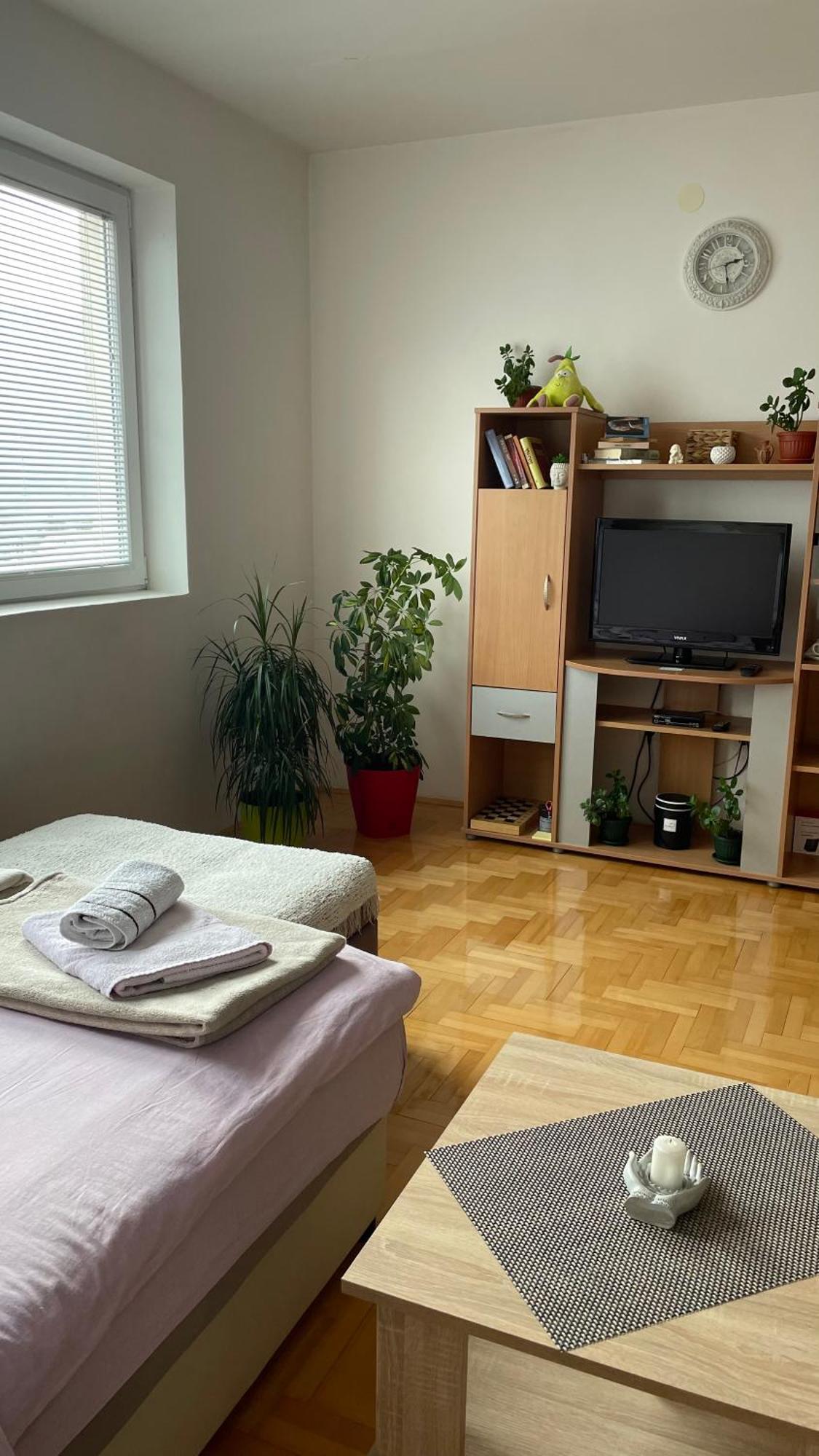 Apartment Jovovic 普卢日内 外观 照片